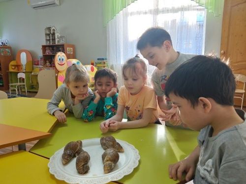 В приюте «Камские зори» Менделеевска состоялся День природы