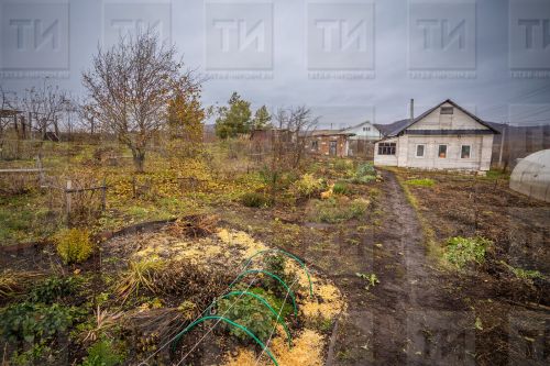 В Росреестре Татарстана напомнили о законодательных изменениях для садоводов