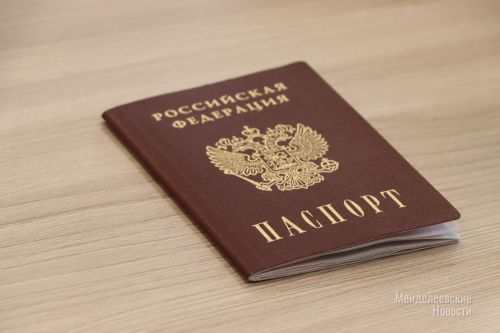 Полиция информирует менделеевцев о предоставляемых гос. услугах в электронном виде
