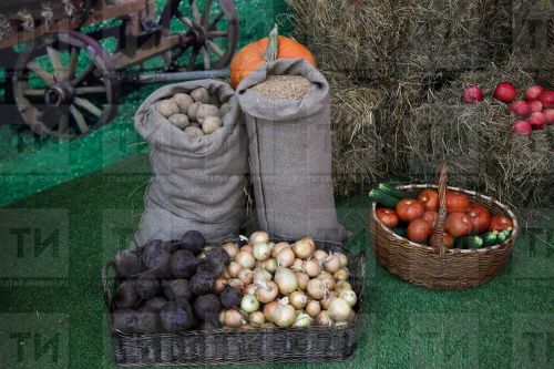 В Татарстане наблюдается рост цен на овощи