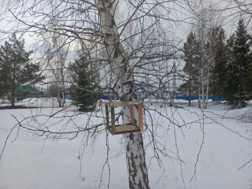 Старогришкинский сельский дом культуры организовал акцию «Кормушка»