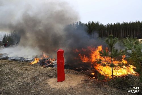 Сегодня в РТ начал действовать особый противопожарный режим