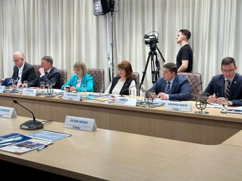 Радмир Беляев рассказал о стратегии развития Менделеевска и инновациях в РТ коллегам со всей страны