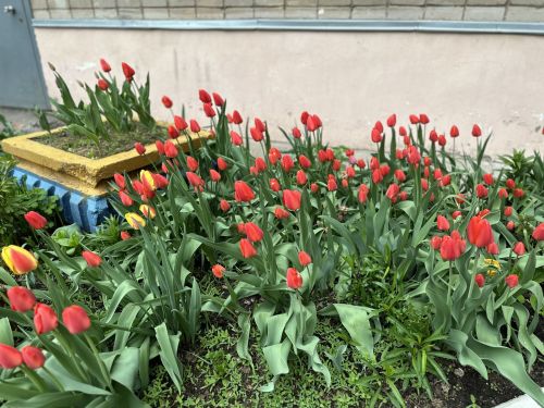 Как в РТ отдыхают в майские праздники