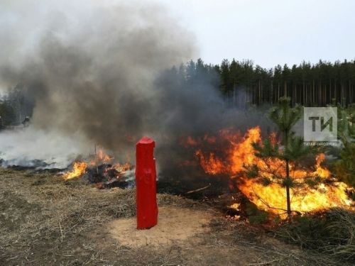 С 22 апреля на территории Татарстана введут особый противопожарный режим