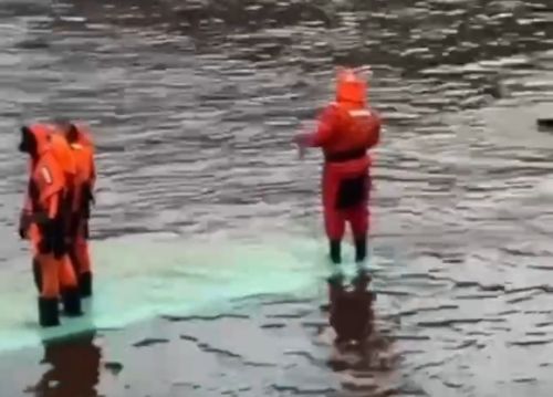 Автобус с людьми упал в реку Мойка в Санкт-Петербурге
