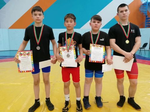 Юные борцы пополнили копилку наград Менделеевского района