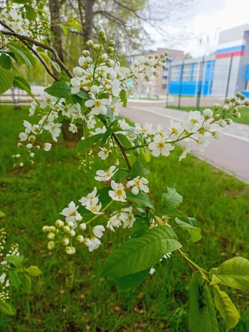 Вторые майские выходные продлятся четыре дня