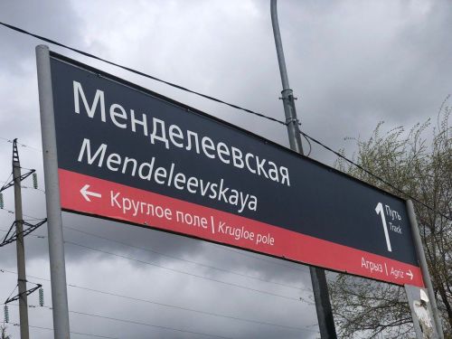 Животных без хозяев запретят высаживать из электричек