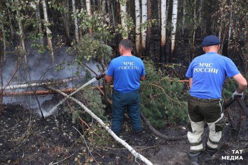 В Татарстане введено временное ограничение на посещение лесов из-за жары