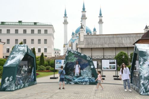 В Казани открылась интерактивная уличная выставка «Ирбис. Кошка-невидимка»