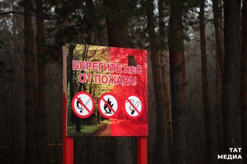 В Татарстане из-за жары закроют леса