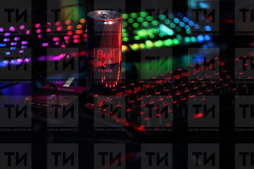 Госдума планирует принять законы о запрете на треш-стримы и продажи энергетиков детям