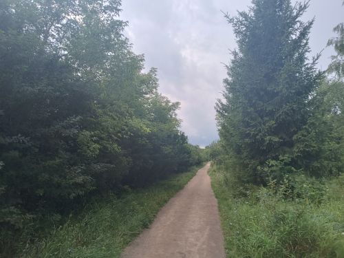 Август в Менделеевске начнется с ливней