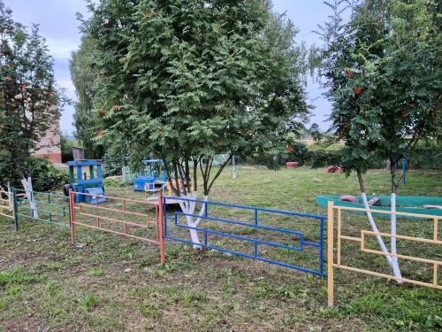 В Татчелнинской школе особое внимание уделяется благоустройству пришкольной территории
