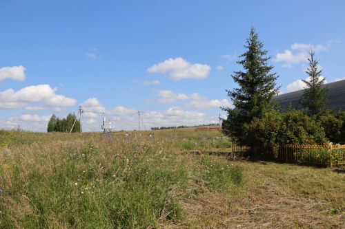 Народный календарь: Евстигней-житник