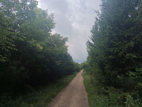 В понедельник в Менделеевске потеплеет до +24 градусов