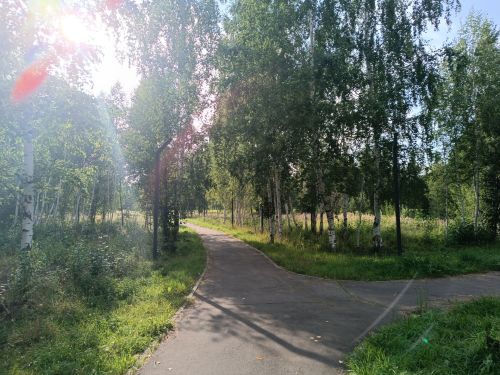 В Менделееске ночью и утром возможны дожди
