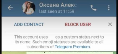 В социальной сети Telegram появился фейковый профиль главного врача Менделеевской ЦРБ