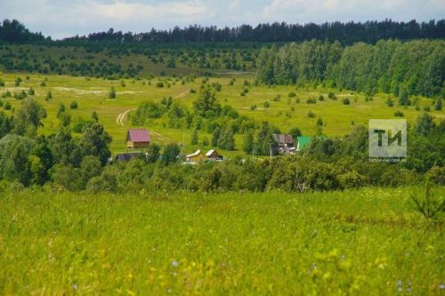 9 августа — день Николы Кочанского