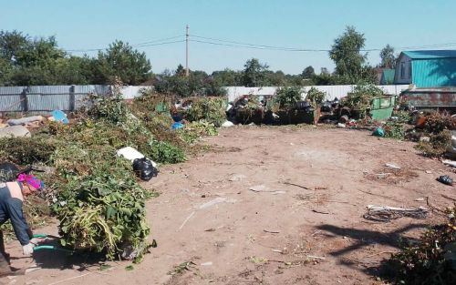 Дачники Татарстана заваливают мусорные контейнеры зелеными отходами