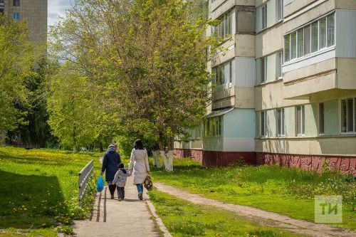 В России будут штрафовать за пропаганду чайлдфри