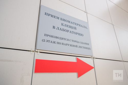 В Татарстане в разгаре сезон клещей