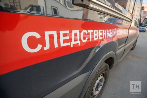 В организмах умерших детей в Красноярском регионе обнаружены следы инсектицидов