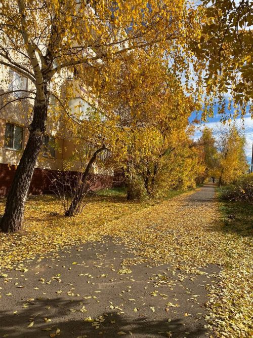 Жители Татарстана могут насладиться тёплыми днями