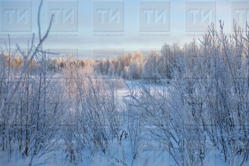 Крещенские морозы: ждать ли суровых холодов в январе