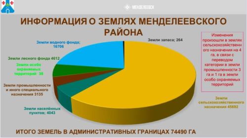 В Менделеевске подвели итоги работы Палаты земельных и имущественных отношений за прошедший год и обозначены задачи на 2025