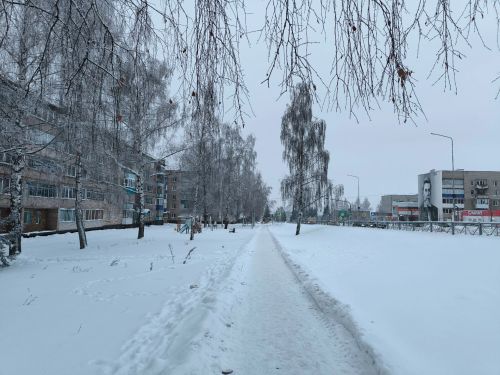 Весенняя погода в Менделеевске: дождь и плюсовая температура