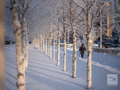 Прогноз погоды в Менделеевске на 22 января