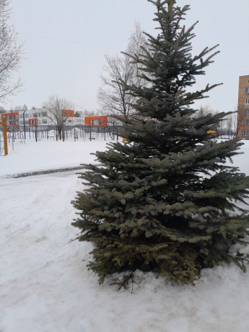 Прогноз погоды в Менделеевске на 30 января
