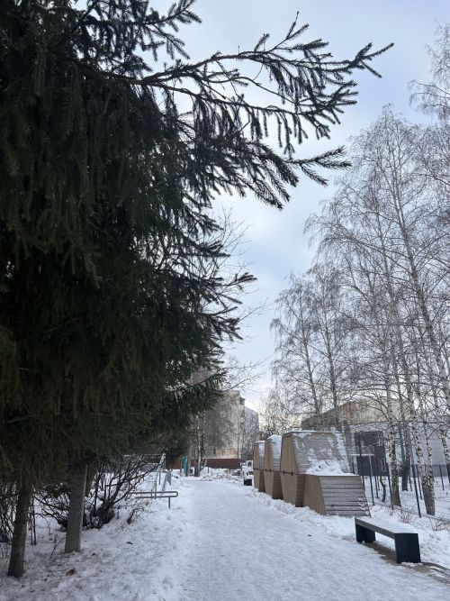 В пятницу осадков не ожидается
