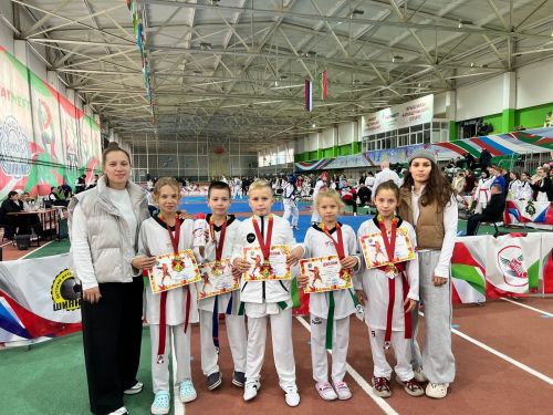 Тхэквондоисты Менделеевска на пьедестале почёта