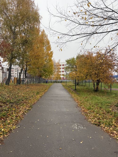 Народный календарь: Яков Дровопилец