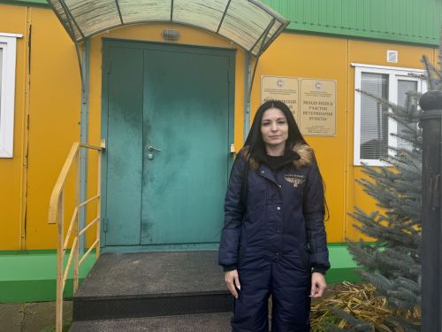 Бесплатная вакцинация, стерилизация и чипирование: в Менделеевске организована благотворительная акция