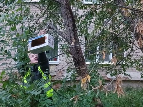 Помощь птицам зимой: жители Менделеевска обустроили кормушки и скворечники