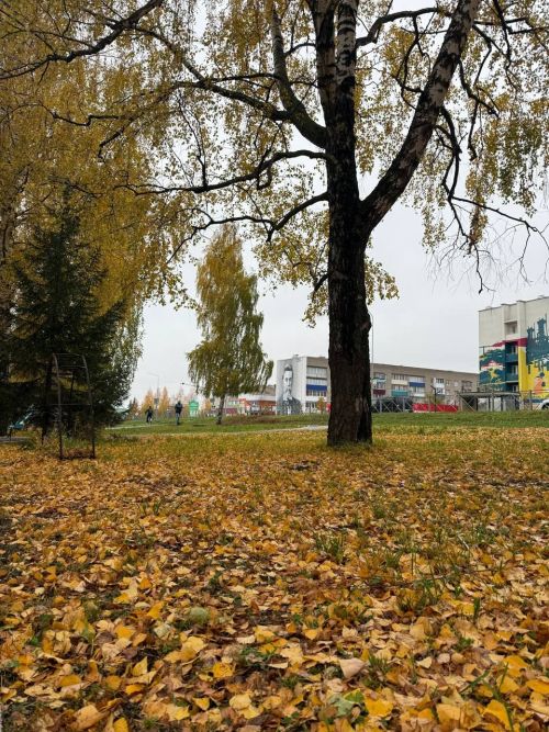 В Менделеевске 29 октября ожидаются дожди