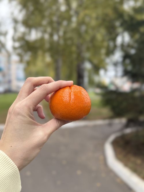 Осенний щит: Какие продукты обязательно добавить в рацион для крепкого иммунитета