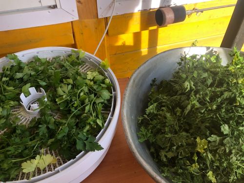 Жители Сетякова: «Готовим СВОим со вкусом дома»