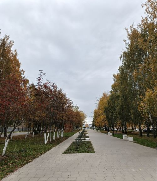 1 ноября в Менделеевске возможен небольшой дождь