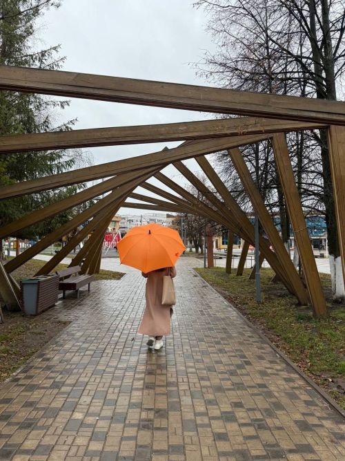 11 ноября в Менделеевске небольшой дождь