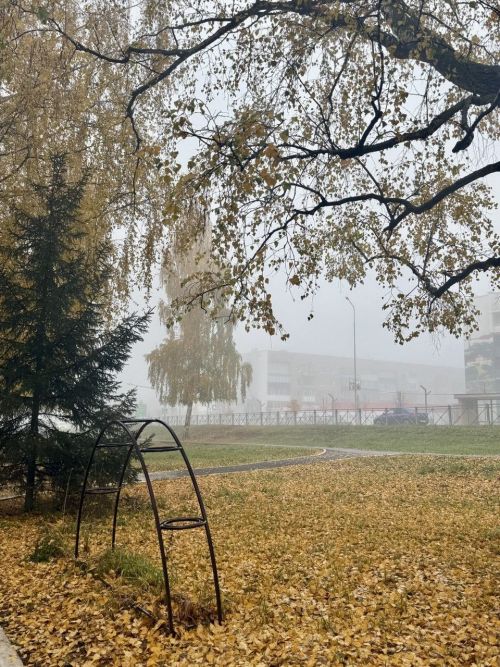 Туман и гололедица: какая погода ждёт Татарстан 3 ноября