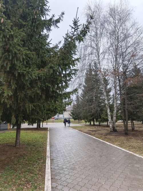 28 ноября в Менделеевске ожидается снег с дождём
