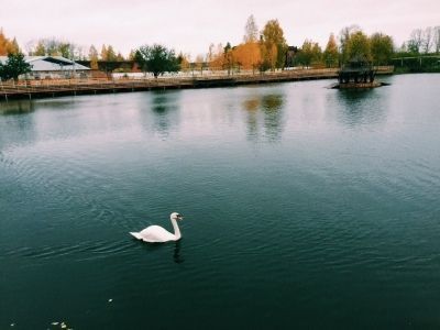 6 ноября жителей республики ждет прохладная и дождливая погода. Такой прогноз озвучили специалисты Гидрометцентра РТ.