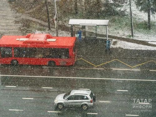 Госавтоинспекция призывает водителей перейти на зимнюю резину