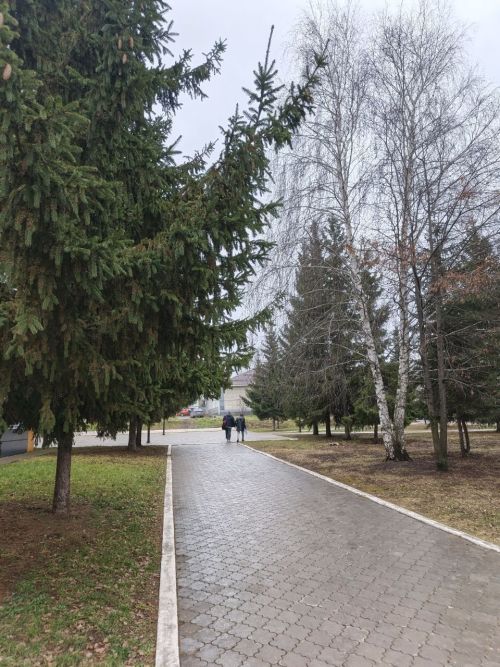 1 декабря в Менделеевске ожидаются небольшие осадки
