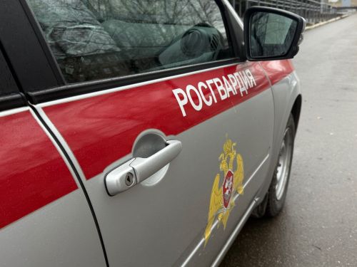 Сотрудники Росгвардии в Менделеевске провели профориентационную встречу со старшеклассниками